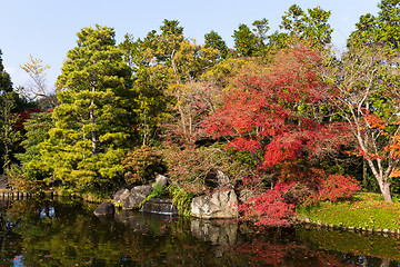 Image showing Autumn Japanese Traditional Garden