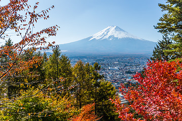 Image showing Maple tree and Mount Fuji