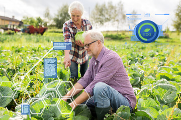 Image showing senior couple picking cabbage on farm