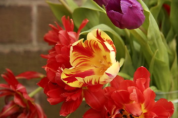 Image showing flowers of spring