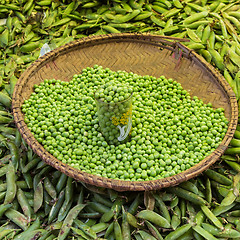 Image showing Green peas, Pisum sativum, being sold at local food market.