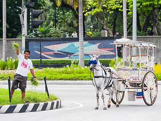 Image showing Coachman feeding his horse