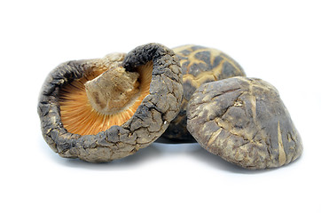 Image showing Dried shitake mushroom