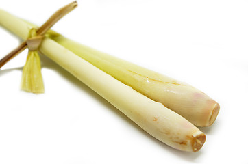 Image showing Fresh lemon grass on white background