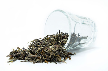 Image showing Knot of green tea