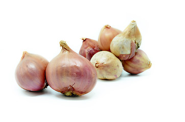 Image showing Fresh red onion bulb 