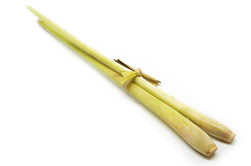 Image showing Bundle of fresh lemongrass