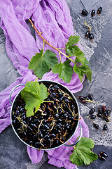 Image showing black currant