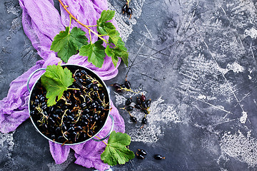 Image showing black currant