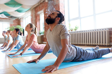 Image showing group of people doing yoga cobra pose at studio