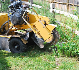 Image showing Tree stump machine.