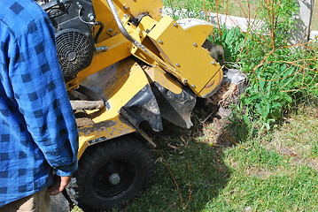 Image showing Tree stump machine.