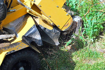 Image showing Tree stump machine.