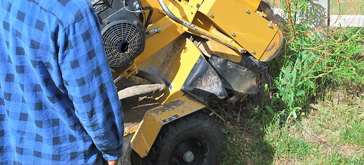 Image showing Tree stump machine.