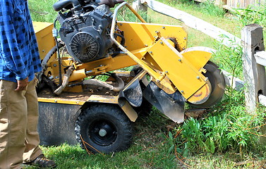 Image showing Tree stump machine.