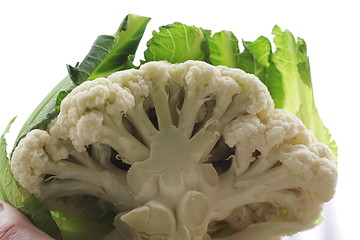 Image showing cut cauliflower