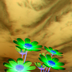 Image showing Beautiful Cosmos Flower against the sky. 3D illustration.. Anagl