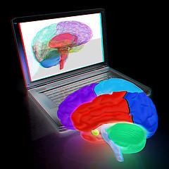 Image showing creative three-dimensional model of real human brain and scan on