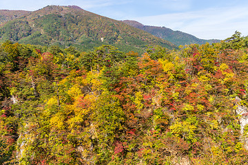 Image showing Naruko Gorge in autumn