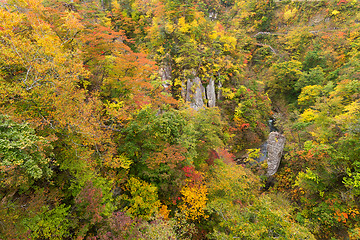 Image showing Naruko canyon in autumn season