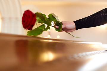 Image showing woman with red roses and coffin at funeral