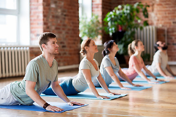 Image showing group of people doing yoga cobra pose at studio