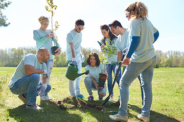 Image showing group of volunteers planting tree in park