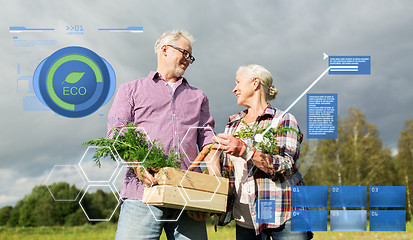 Image showing senior couple with box of carrots on farm