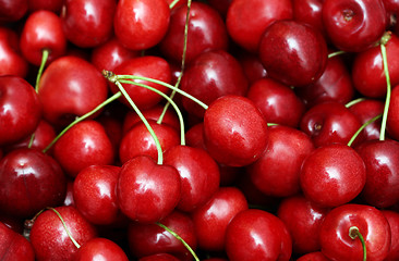 Image showing freshly picked heap of cherries