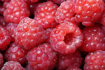 Image showing Close-up of ripe raspberries