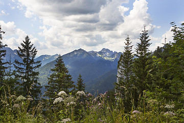 Image showing Panorama view from Bavarian Alps, Germany