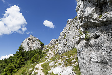 Image showing Hiking in Bavarian Alps, Germany