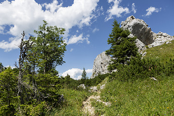 Image showing Hiking in Bavarian Alps, Germany