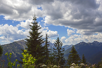Image showing Panorama view from Bavarian Alps, Germany