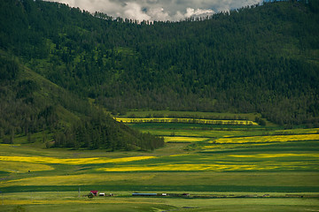 Image showing Beauty colors of summer Altai