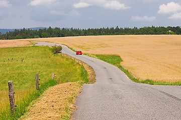 Image showing Road through farmlands