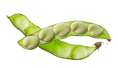 Image showing Bean pod isolated on white background