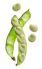 Image showing Bean pod isolated on white background