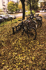 Image showing row of bicycles among fallen leaves