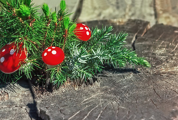 Image showing Juniper Branch And Red Mushrooms On The Old Wooden Background