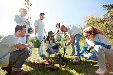 Image showing group of volunteers planting tree in park