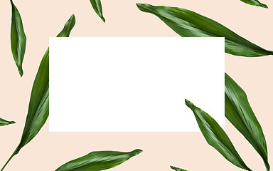 Image showing green leaves over white blank space on beige