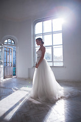 Image showing Beautiful bride in wedding dress, white background