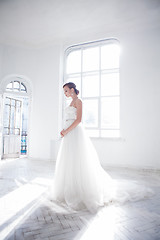 Image showing Beautiful bride in wedding dress, white background