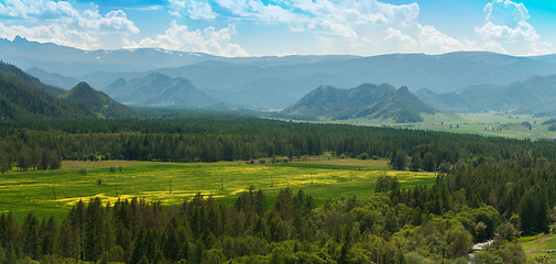 Image showing Beauty colors of summer Altai