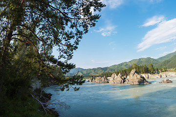 Image showing Fast mountain river Katun