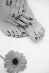 Image showing female feet and hands at spa salon