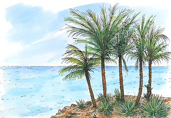 Image showing Caribbean sea-coast with palm trees