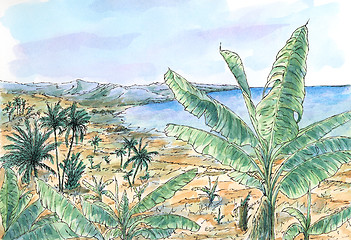 Image showing Caribbean landscape with banana and palm trees