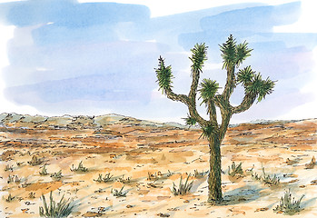 Image showing Desert landscape with Joshua tree (Yucca brevifolia)